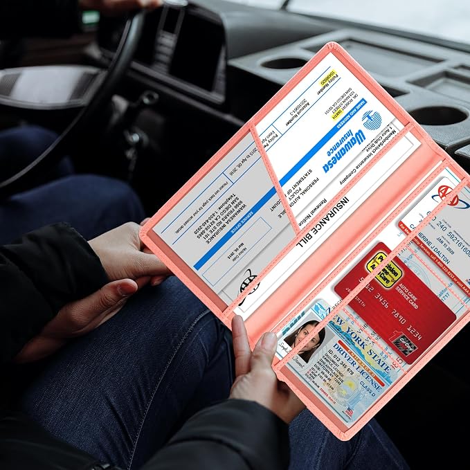 TOURSUIT Car Registration and Insurance Card Holder, Vehicle License Document Glove Box Compartment Organizer, Interior Car Accessories for Women Men (Pink)