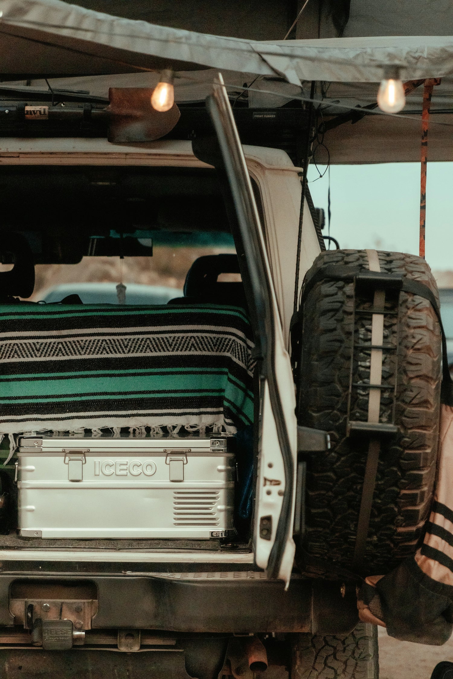 Trunk Organizer